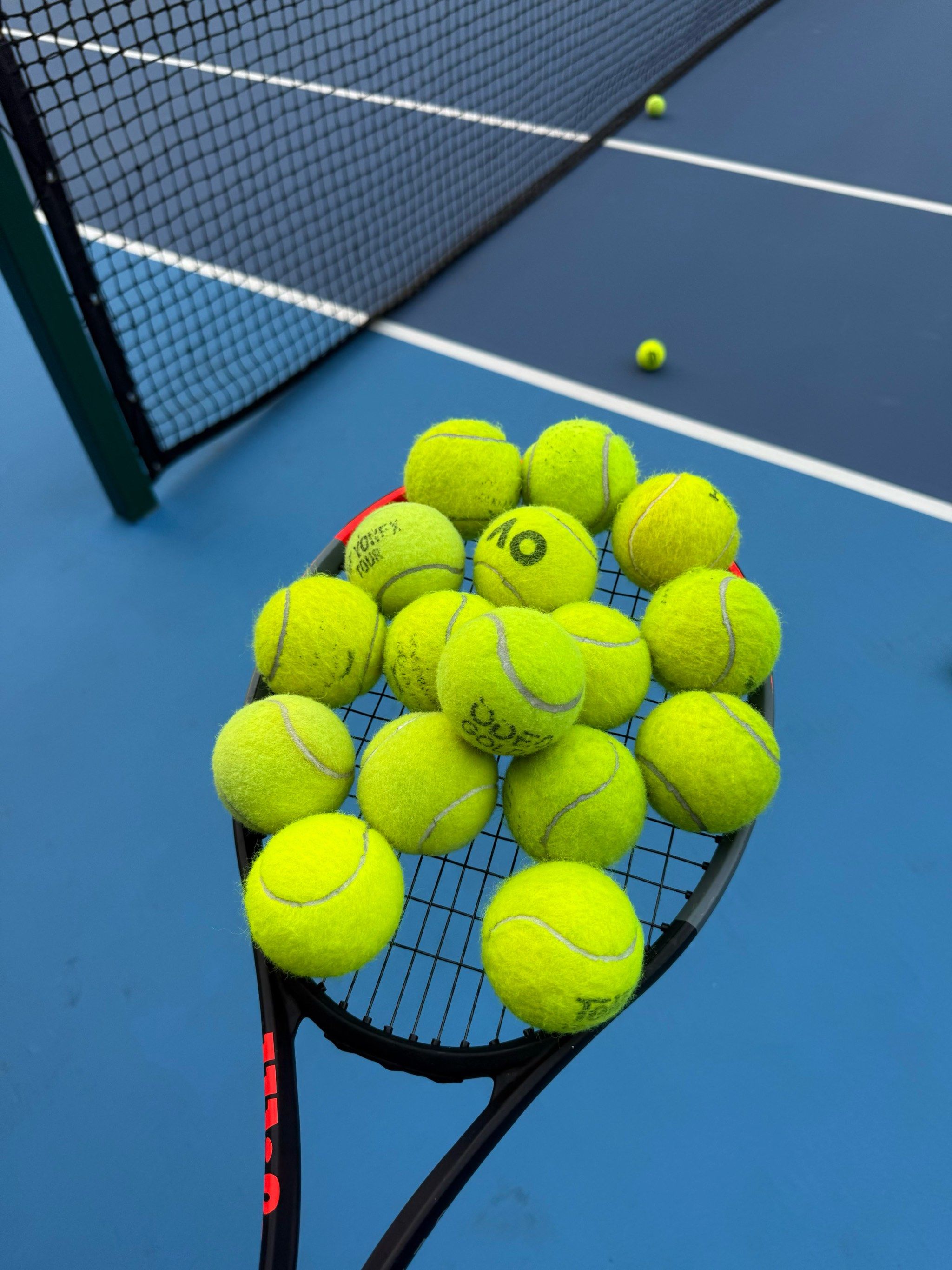 当地的旅游 当地的旅游